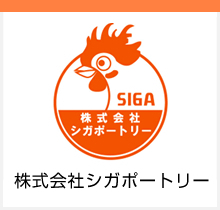 ������ЃV�K�|�[�g���[